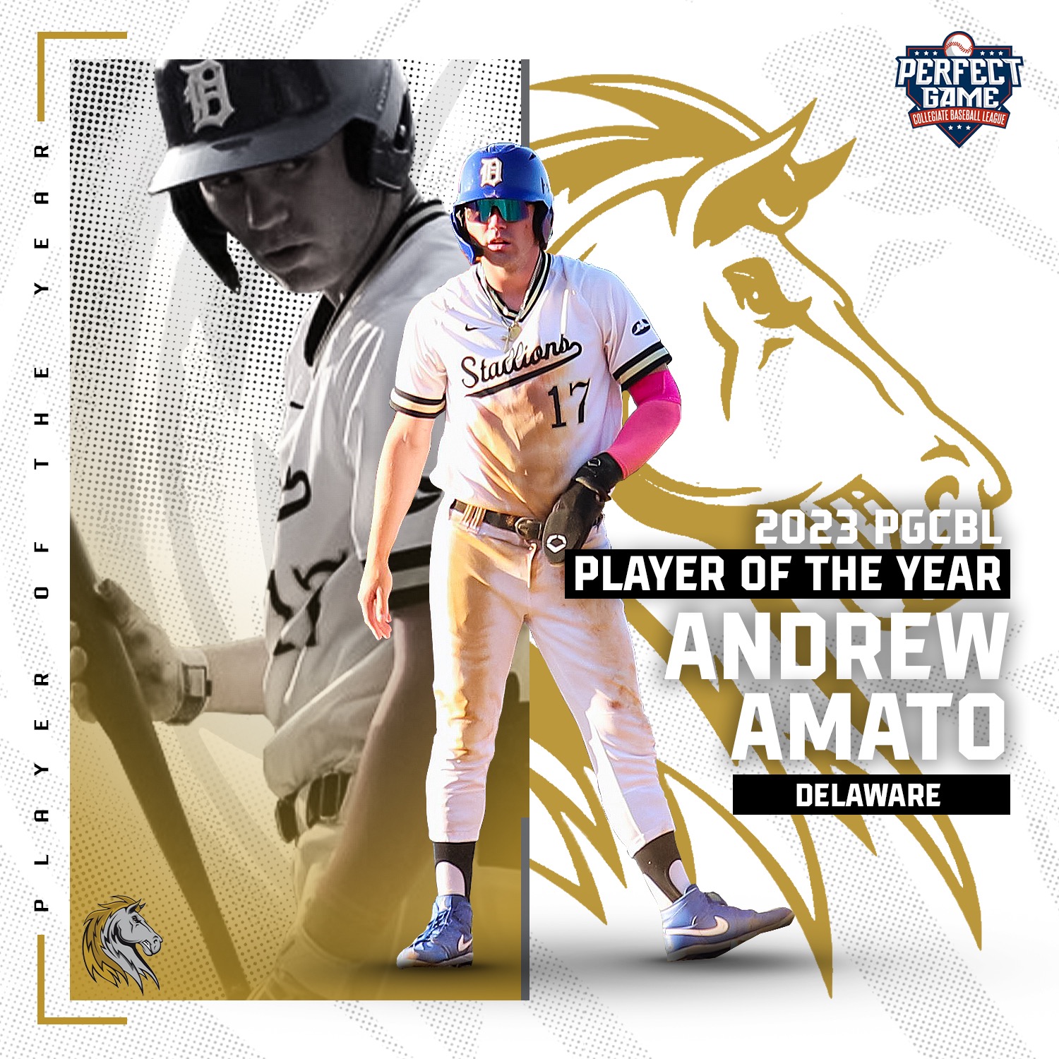 Andrew Amato Named 2023 PGCBL Player of the Year